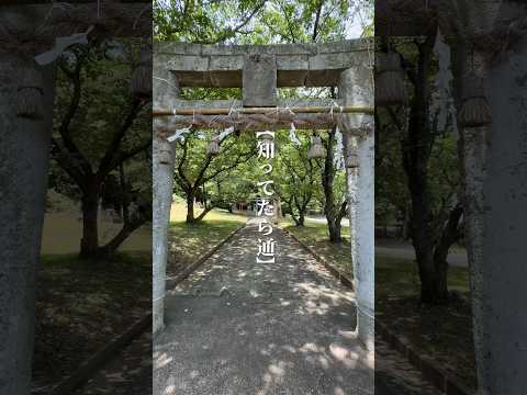 【宗像市】知ってたら通！そっと呼吸を続ける樹齢600年の大楠 #福岡 #travel #旅行