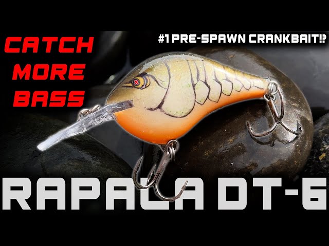 Does a Rapala DT-6 REALLY Dive 6 FEET?! 
