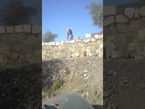 بيت عادل الفاتش الجديد بالربوع 