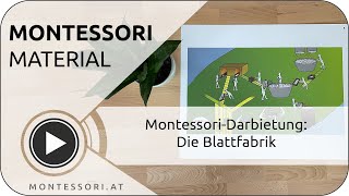 Montessori-Darbietung: Die Blattfabrik [Montessori-Ausbildung]