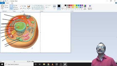 EASY IMAGE EDITING APP IN COMPUTERS- MS PAINT