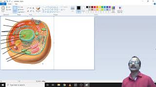 EASY IMAGE EDITING APP IN COMPUTERS- MS PAINT