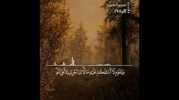 مقطع من سورة هود - بصوت رعد الكردي💙 حالات واتس اب دينيه || 💔تلاوة يخشع لها القلب