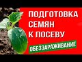 Подготовке семян к посеву.  Обеззараживание семян.  Способы протравливания семян.