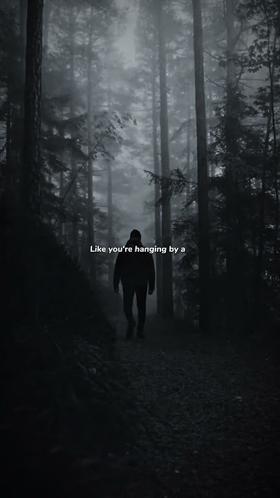 Numb Little Bug - Em Beihold | lyrics | aesthetic | whatsapp Status | English songs | slowed #lyrics
