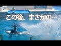 最上段まで水が! 恐るべしシャチパフォーマンス2018 7.19 13:00の回・左サイド・4K!