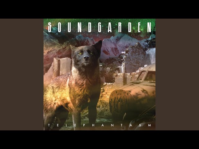 Soundgarden - Birth Ritual