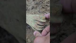finding fossils in the spring fed creek. #fossil #texas #life #outdoors #explore #world #interesting