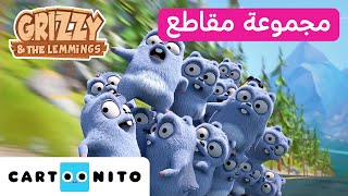 غريزي والليمينغز: ماراثون ضخم | حرب الليمينغز | كارتونيتو