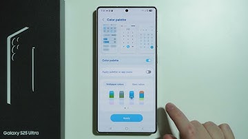 Samsung Galaxy S25 Ultra: How to Change System Colors (Interface Colors)