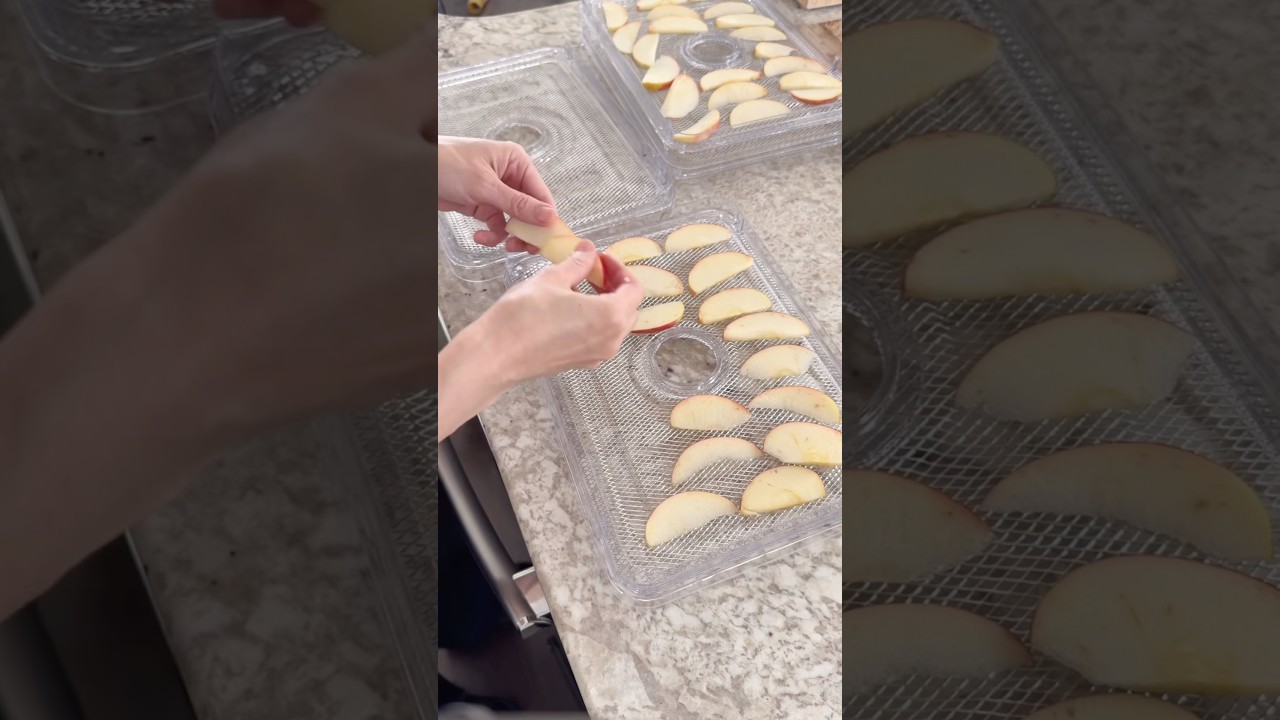 Amazonで買ったフードドライヤーでりんごチップス作り　#海外在住ママ #海外生活