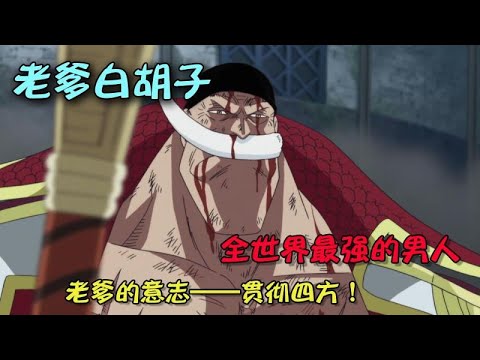 -【海贼王白胡子人物传】他是海贼王里绝对的王者！背负时代的他从未封王却死而无憾！