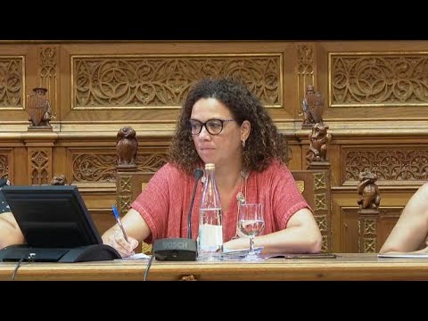 El Partit Socialista impedeix que el Consell de Mallorca restringeixi la compra d'habitatg