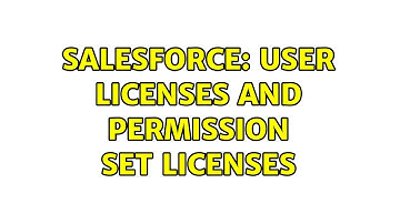 Salesforce: User licenses and Permission Set Licenses