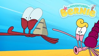 NEW The Adventures of Bernie 🔥 HIGH-SPEED CHASE💥 Zig \& Sharko - Cartoons for Kids