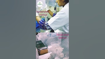 Hands-on 🧑‍🔬 experience 🧬🔬😁👍#summerinternships #opportunity #learning #research #science #2024