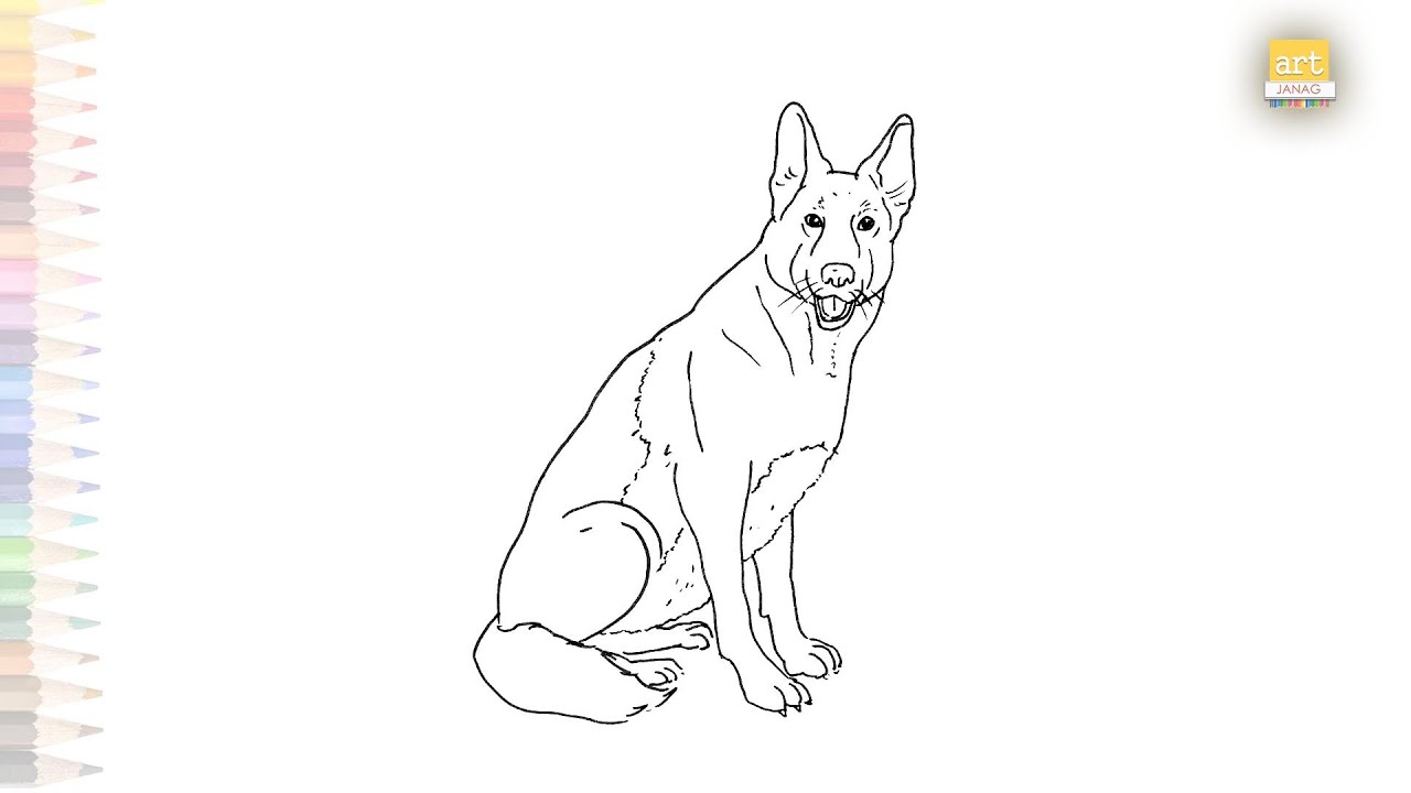 German Shepherd drawing | Dog breed drawing videos | How to draw German ...