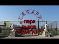 Сафари- парк львов " Тайган" и его необыкновенные обитатели
