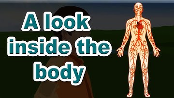 A look inside the body | 4th Std | EVS I | English Medium | Maharashtra State Board | Home Revise