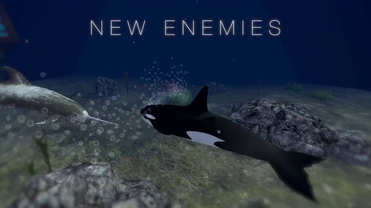 Orca The Killer Whale Vs Shark Blue Whale Ultimate Ocean Simulator Part 3 Youtube - killer whales life roblox