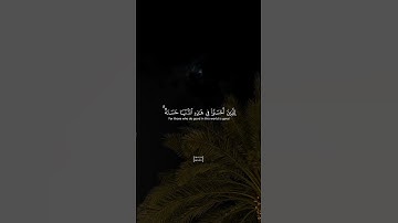 ما تيسر من سورة الزمر ❤️‍🩹 #قرآن #قران #القرآن_الكريم #quran #reels
