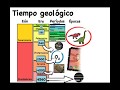 Precámbrico y paleozoico