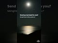 Mitski - My Love Mine All Mine (Lirik + Terjemahan) #lyrics #liriklagu #terjemahan #mitski #viral