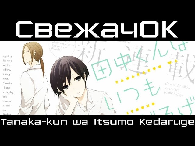 Get Svezhachok Vsegda Vyalyj Tanaka Kun Tanaka Kun Wa Itsumo Kedaruge For Android Free Get Wallpaper Svezhachok Vsegda Vyalyj Tanaka Kun Tanaka Kun Wa Itsumo Kedaruge Free