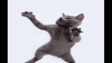 Watching someone get JSPOVA?! | Roblox A Bizarre Day Modded