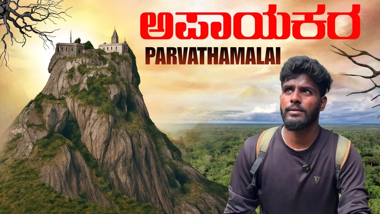 ಸಂಜೀವಿನಿ ಪರ್ವತ  ನೋಡಿ 😍 | Hardest Trek in Tamil Nadu Parvathamalai | 100 Days Travel Series 46