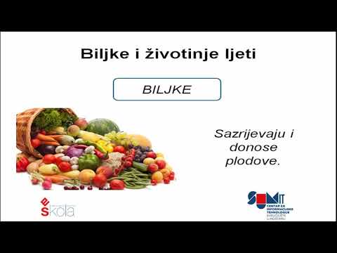 Video: Rijetke Biljke I životinje U Bjelorusiji