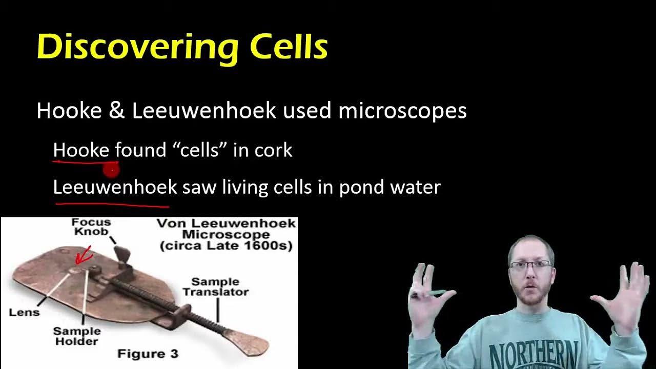 Biology Microscopes, Cell Theory & Cell Types YouTube