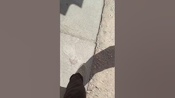 Natural spring dividers / spring divider #shorts #clips #circle #entertainment