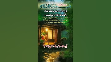 #ترجمه سورة البقره #آیه ۲۰۷، ۲۰۸ و ۲۰۹ #صداگذار #محمدرامین صمیمی 🥀🌹⚘