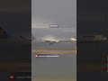 Catch this Classic While You Can! (Lufthansa Airbus A340-600)