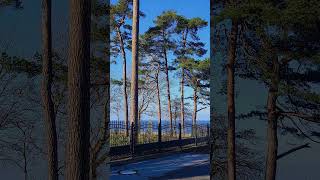 Exploring The Serene Shores Of Dive Into The Beauty Of This Coastal Gem Lubmin