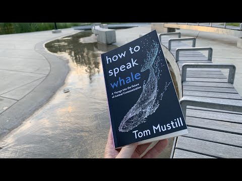 How to speak whale [trend]