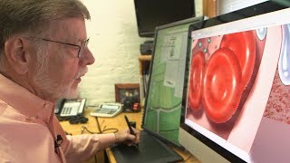 Westwood Medical Illustrations | AHA! A House for Arts [Clip]