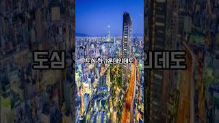 오사카 엑셀 호텔 도큐, 실제 숙박 리뷰 | 국내,해외여행