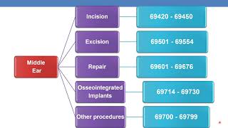 2023 CPT coding for auditory system Part 2
