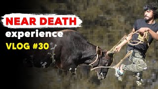 Cow with a 30 ft bandage stuffed inside & Sahil's near death experience | Vlog 30