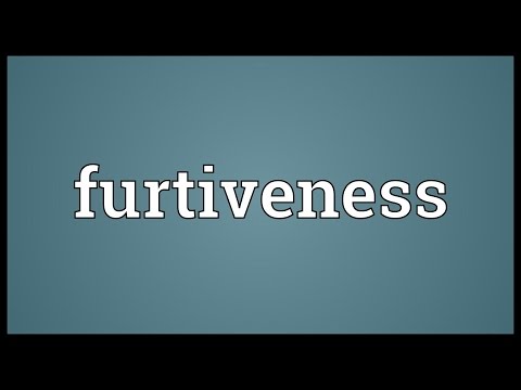 Header of furtiveness