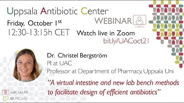 A virtual intestine and new lab bench methods to facilitate design of efficient antibiotics.