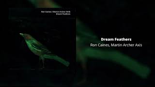 Ron Caines &amp; Martin Archer Axis - Rothko Veil / Dream Feathers