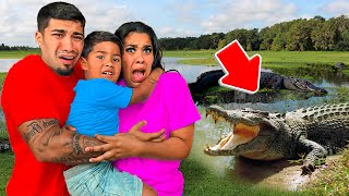 Download Lagu Alligator Attacked Us! MP3