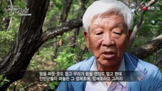 TV조선 호국보훈의달 특집다큐 '127명의 학도병 끝나지 않은 이야기'