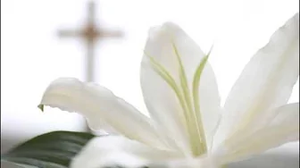 Paul Baloche & Phil Wickham - Your Name Paul Baloche & Phil Wickham - Your Name