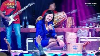 ZARIDEN MUSIC - JAMBU ALAS BUNGA PERMATA