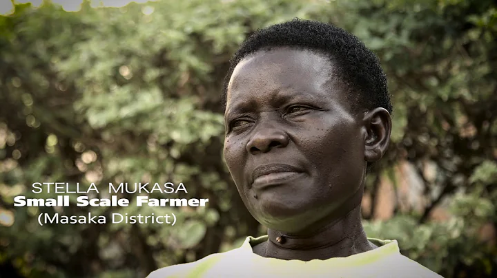 Small scale farmers' views on government buying maize at 500 Uganda Shillings per KG