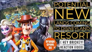 Potential New LANDS Coming To The Disneyland Resort